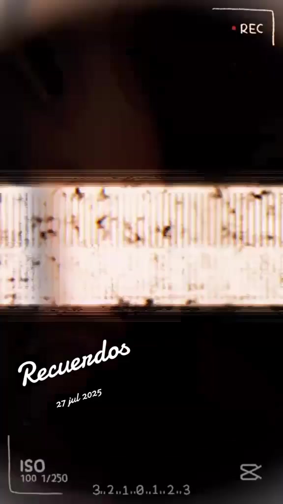 @paubonii