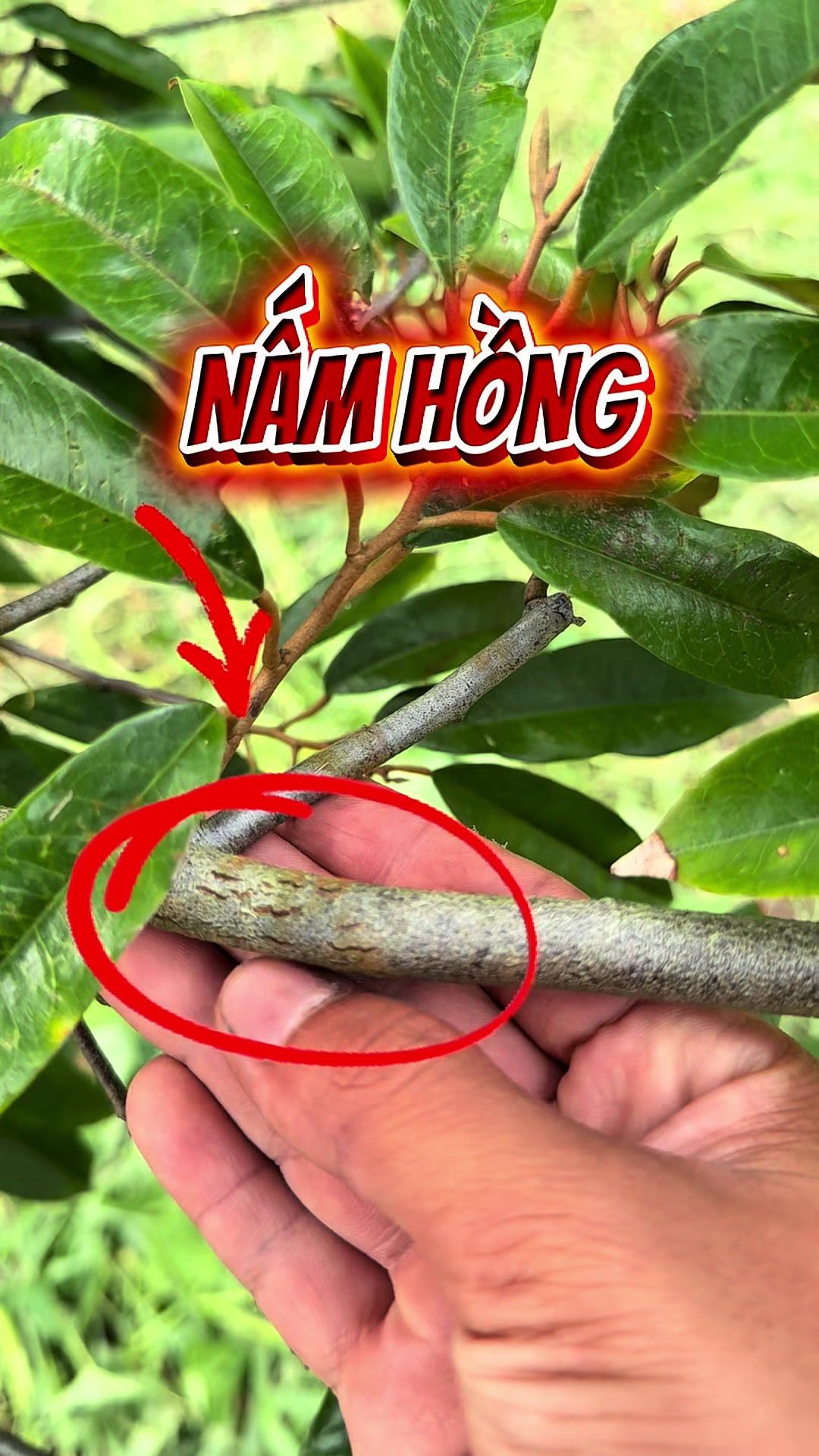 @Hộ Kinh Doanh Hào - Hưng