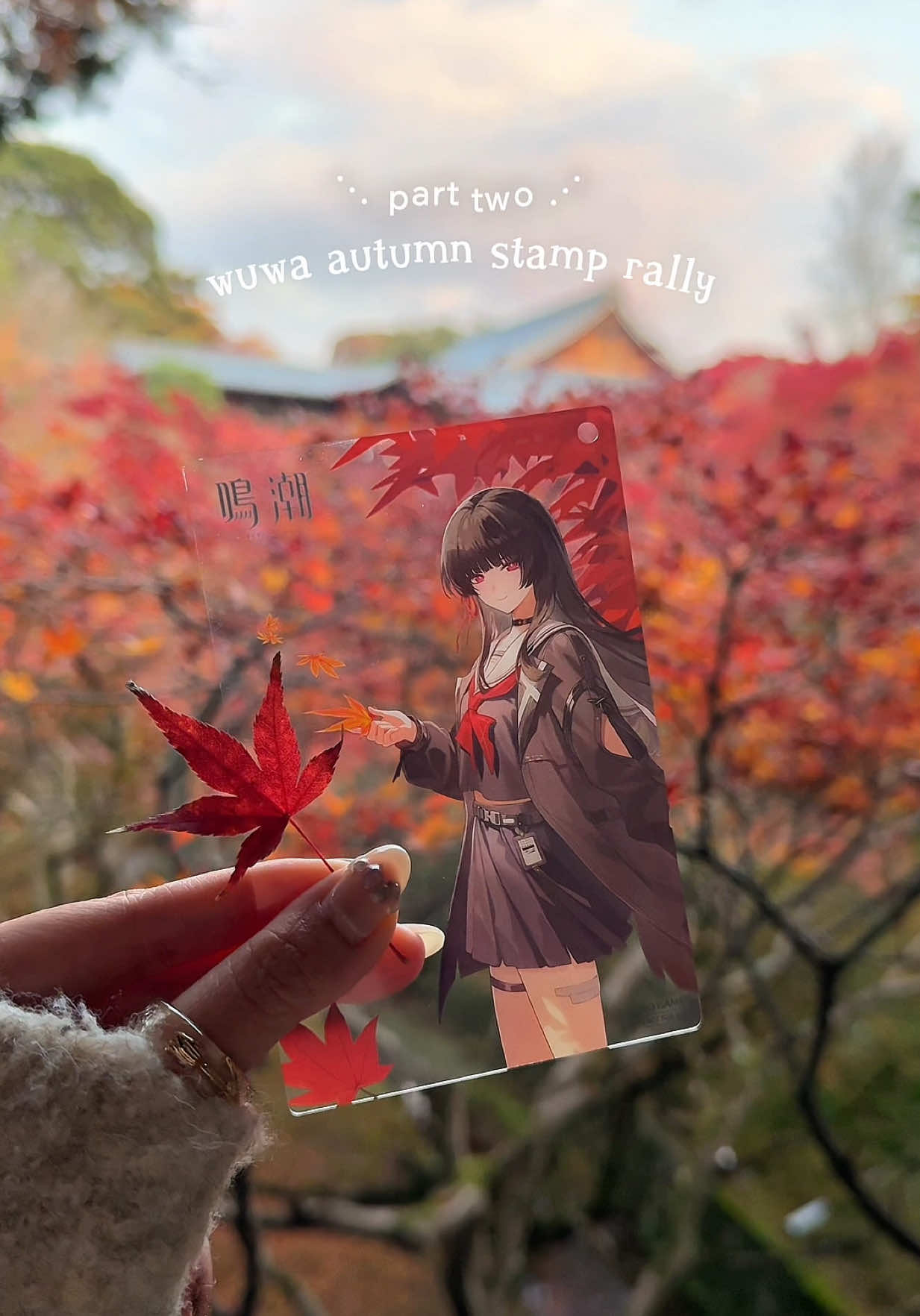@𐙚˚˖ 𝘭𝘰𝘵𝘵𝘪𝘦 𝘭𝘰𝘴𝘵🐰🎀