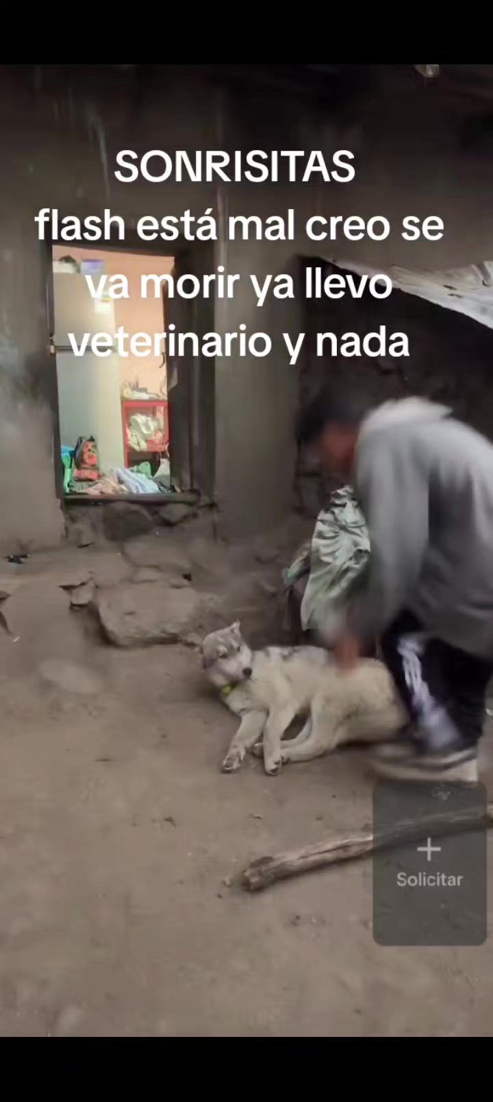 @CLIPS-SONRISITAS