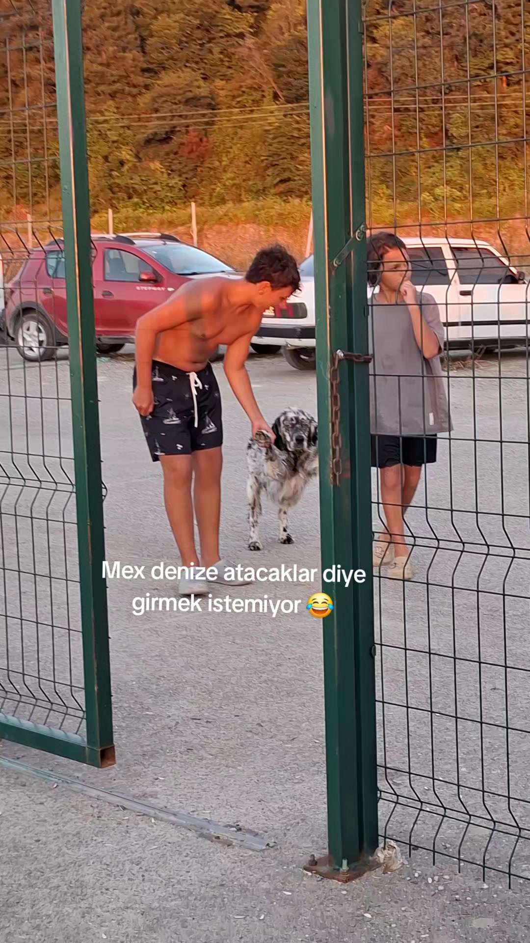 @Ayşeg&uuml;lg&uuml;nter