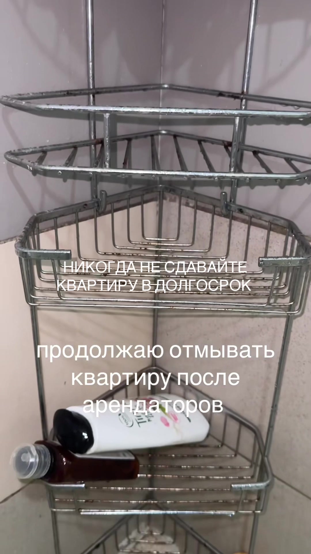 @Katusha_ASMR