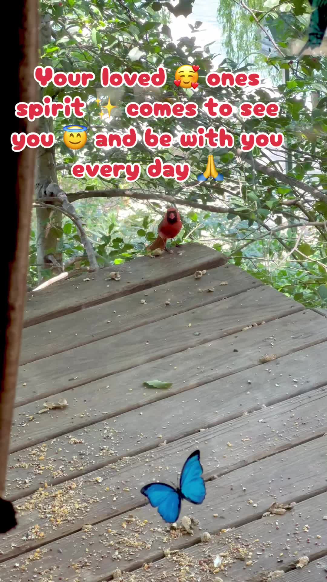 @E🌹