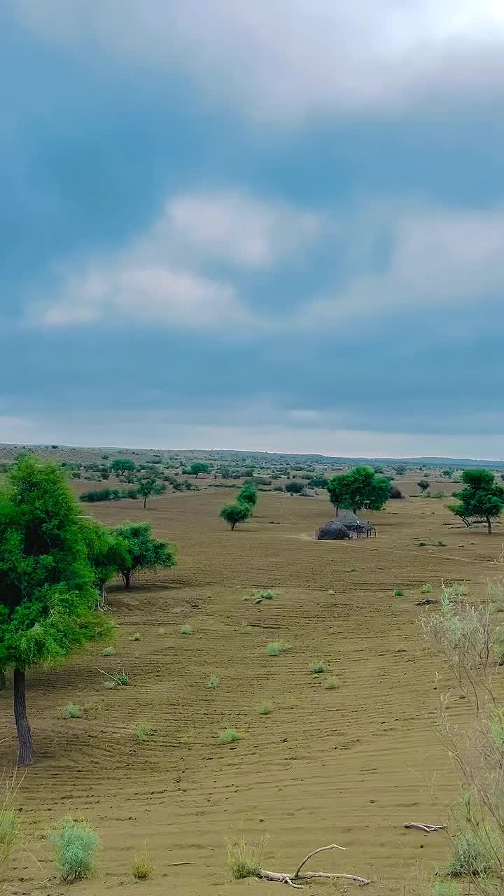 @ابوبکر🌸