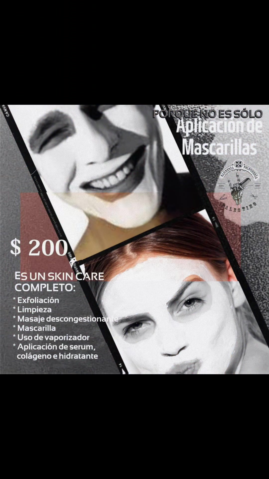 @sandrapalestino8