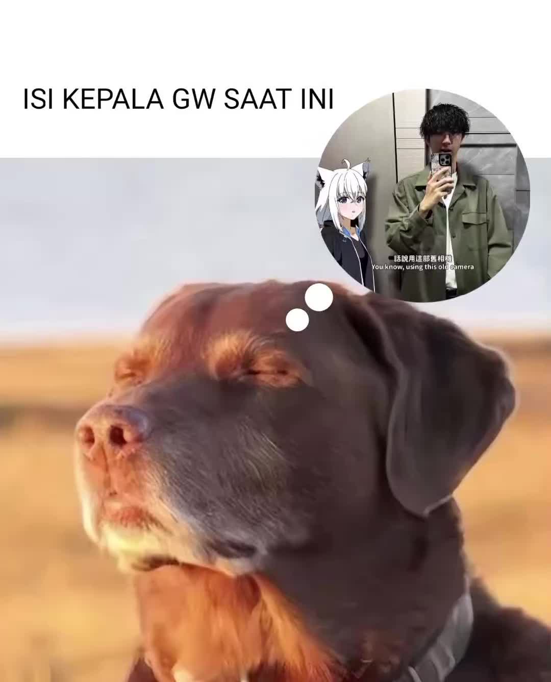 @jafar乂𝐖𝐈𝐁𝐔𝐒𝐎𝐅𝐓