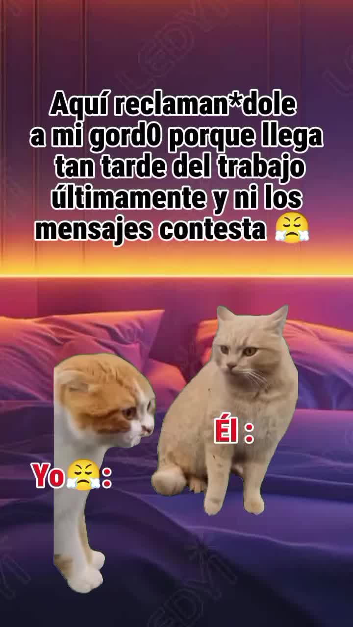 @memestristemariicruz🐈⬛ 🤣😔