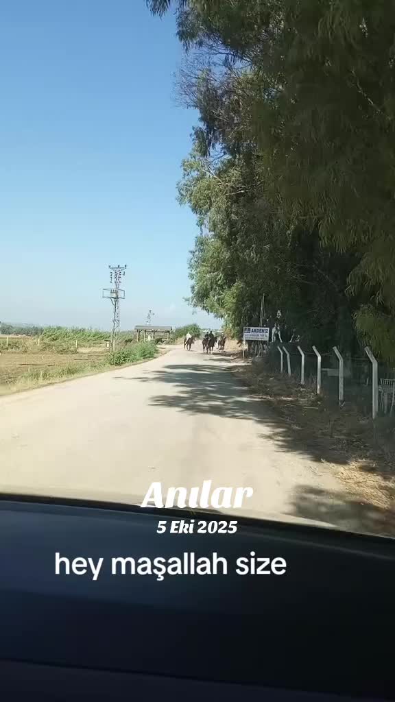 @hanım ağa
