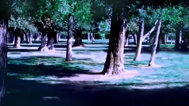 @meliodaz5252