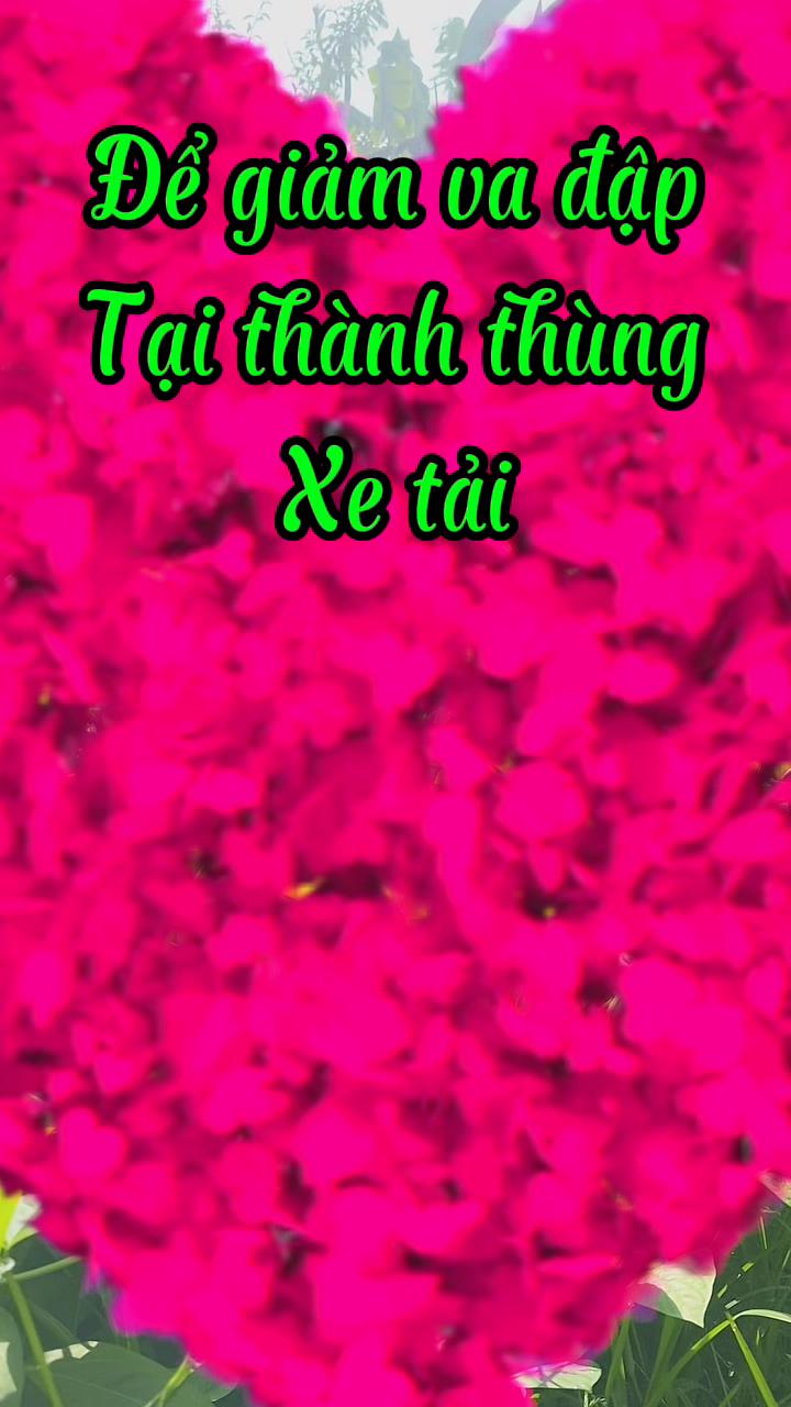 @Phụ kiện ô tô Hoàng Bách