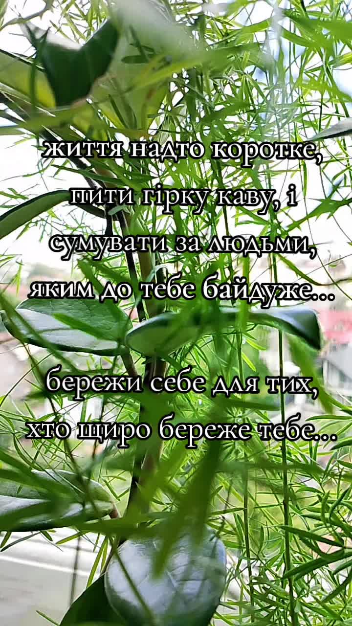 @Ksenia:💙🖤