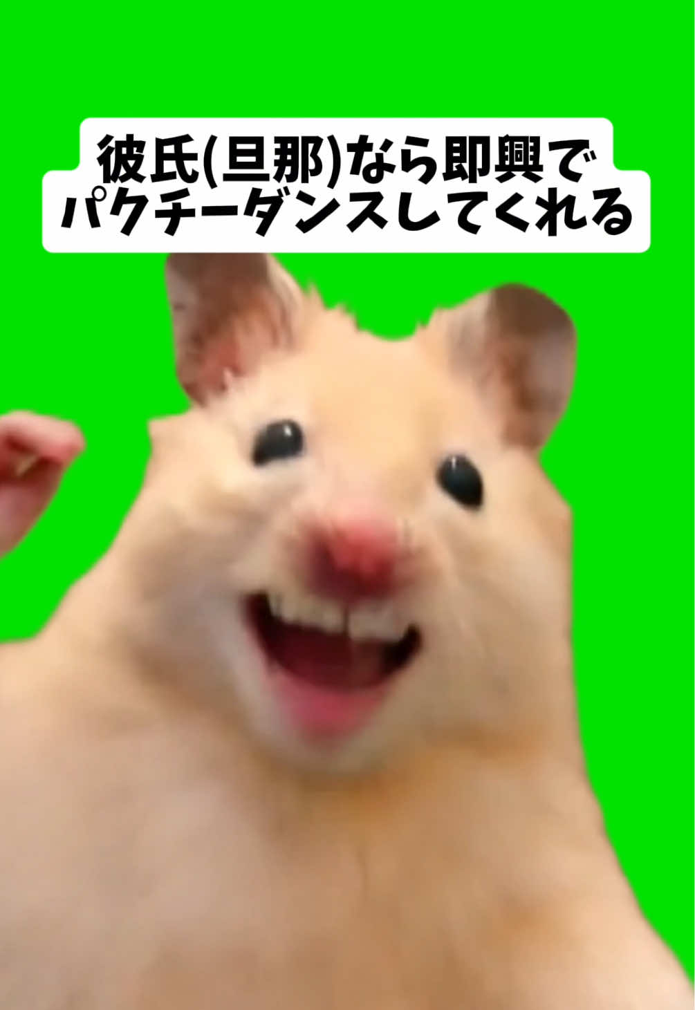 @FCham