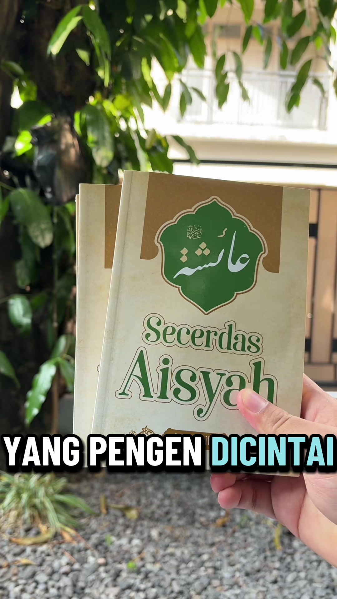 @Kak Maulana | Konsultan