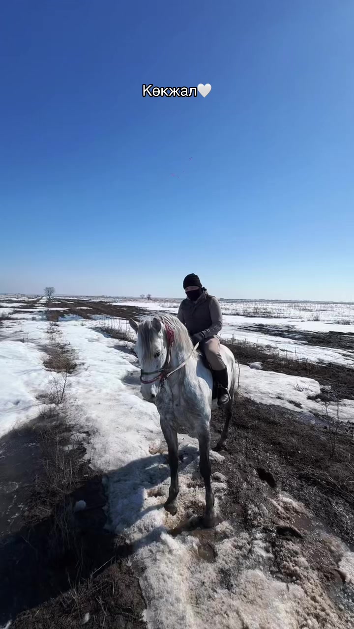@nur_bolatovv07