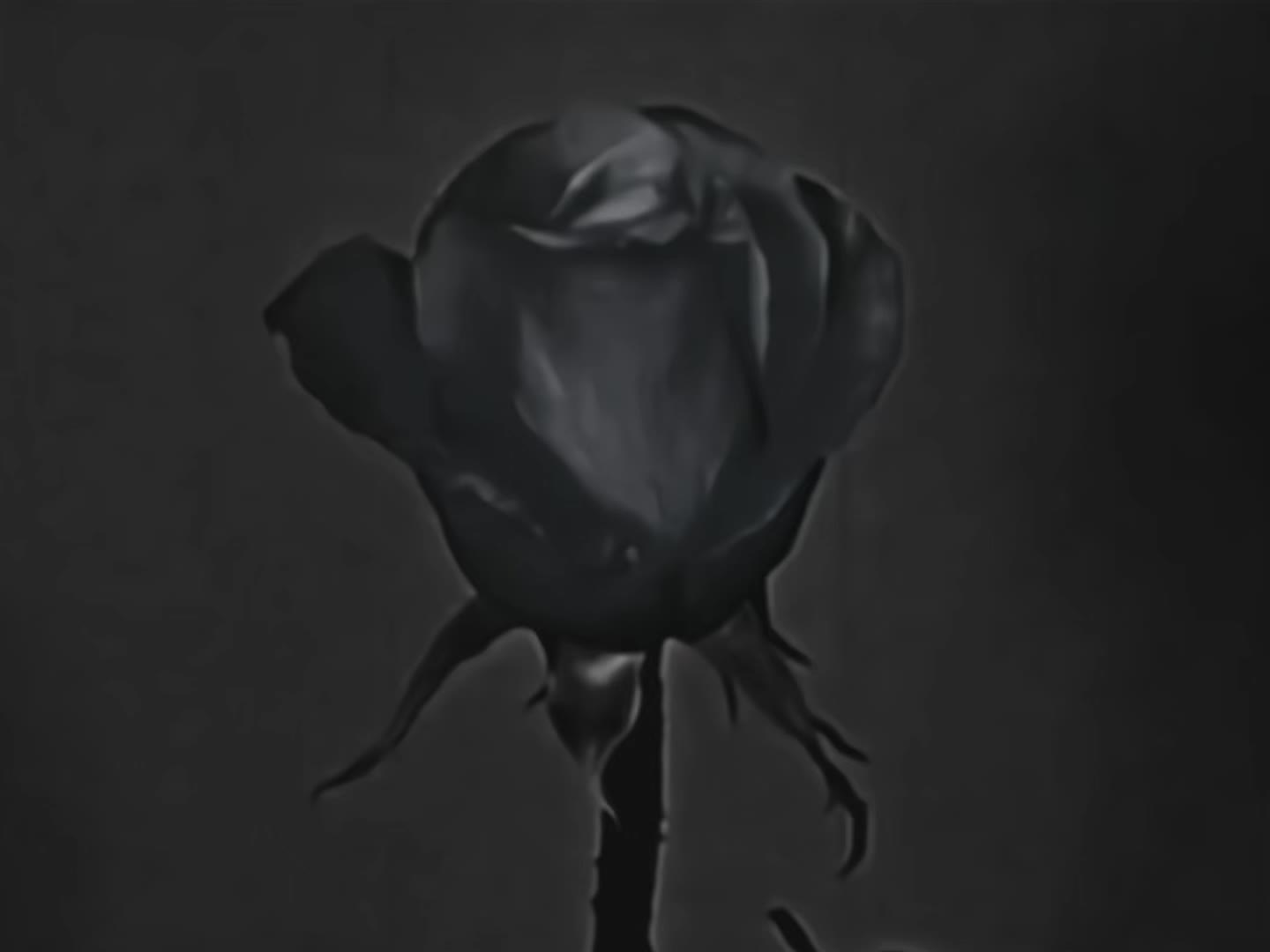 @𝐲𝐰𝐞𝐮