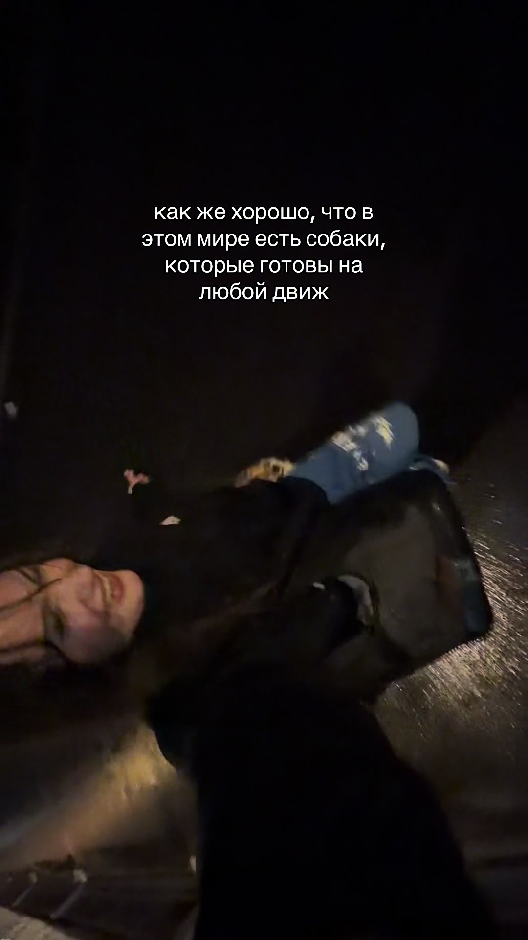 @kkkat