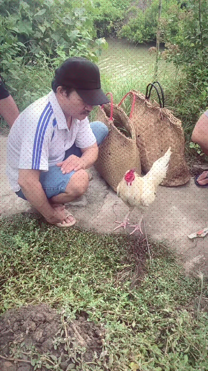@Ng Đăng 🦀