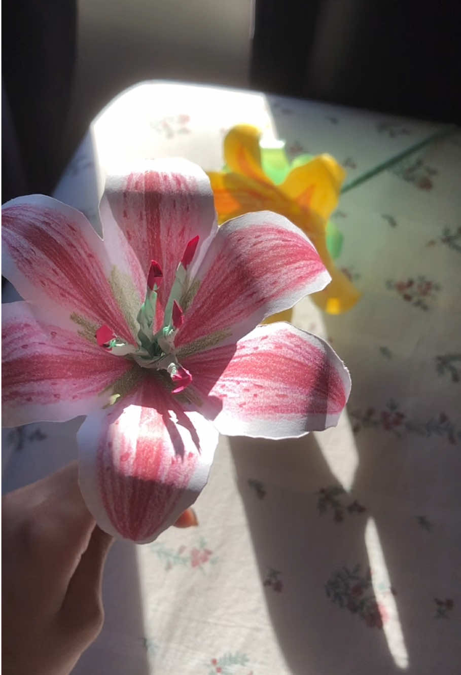 @˖ ࣪⊹𝒞𝒶𝓂𝒾𝓁𝓁ℯ ྀི