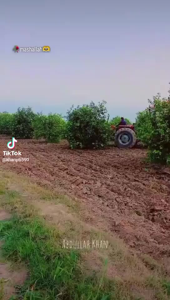 @#Qasimk1188