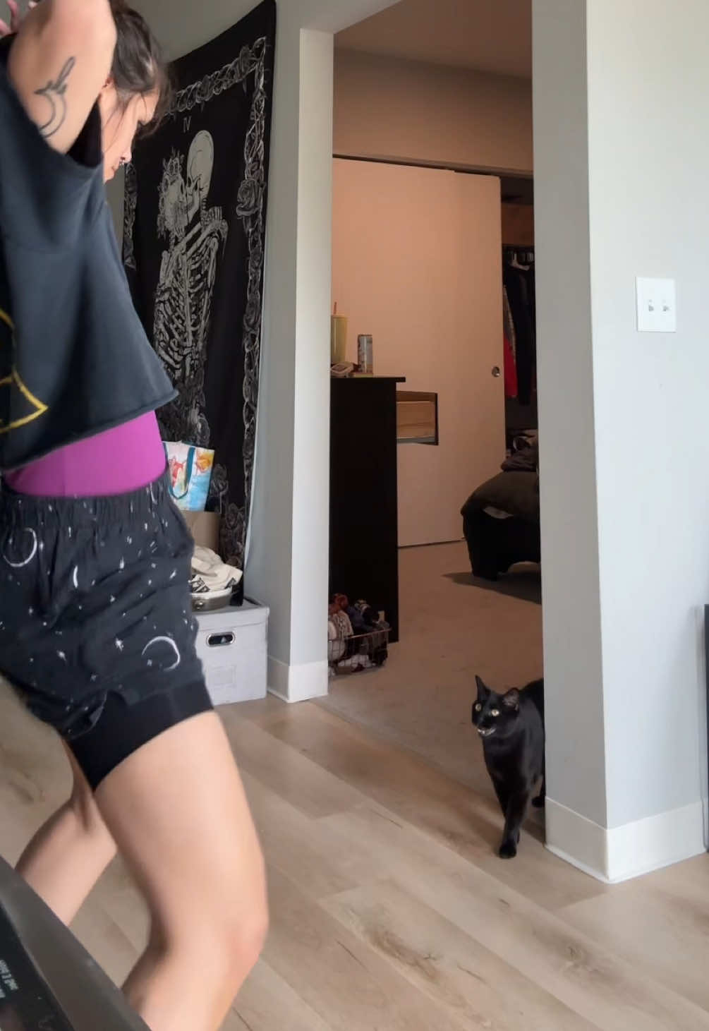 @bella