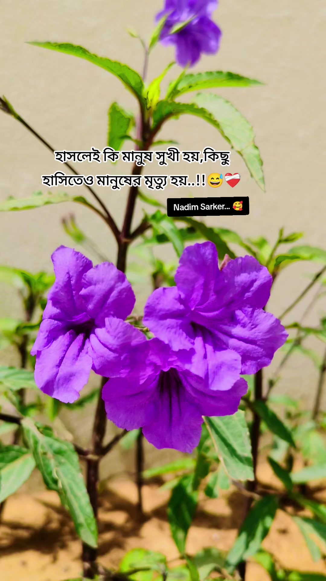 @Nªð¡m §ª®k€