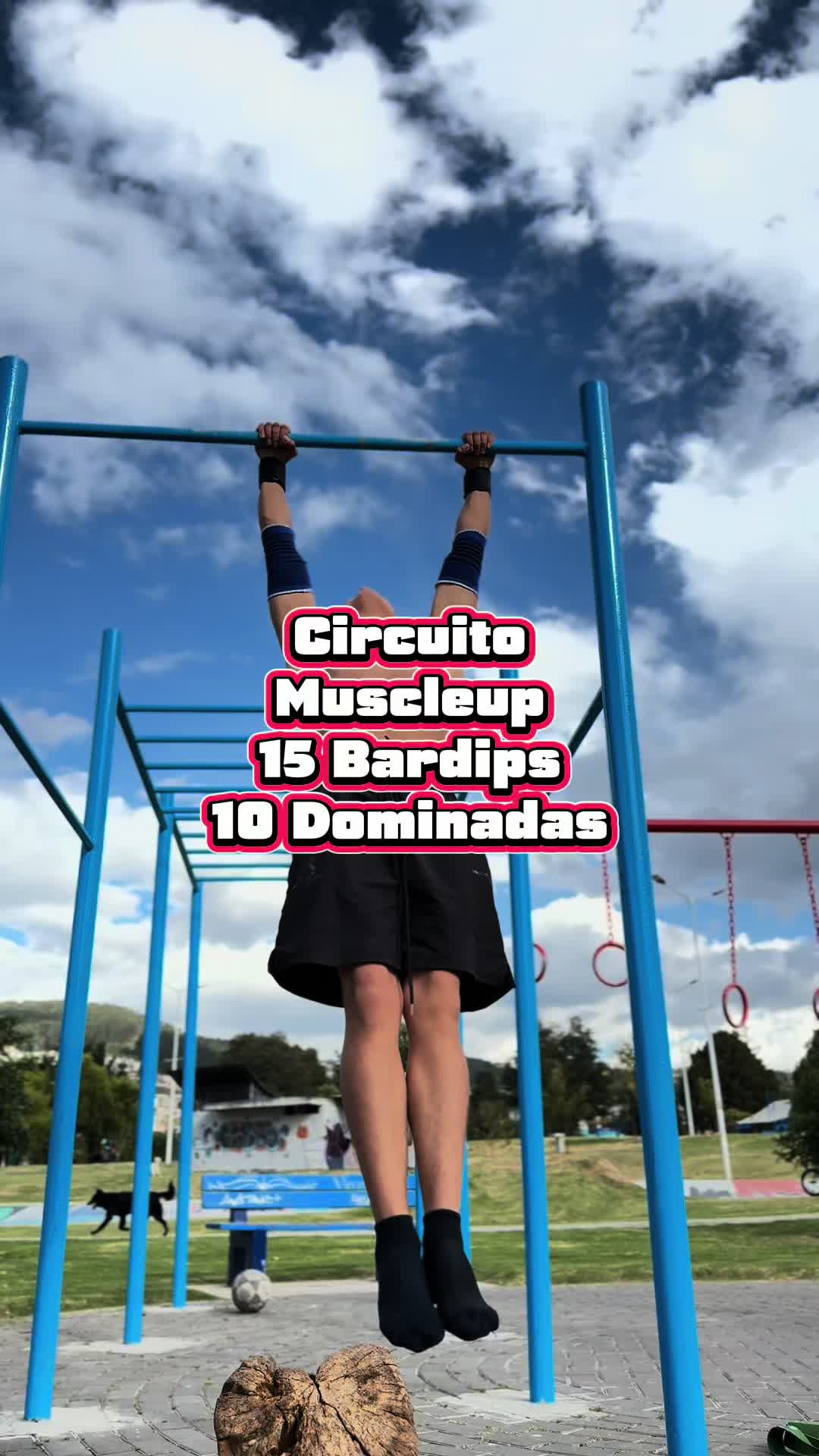 @Quitobarz