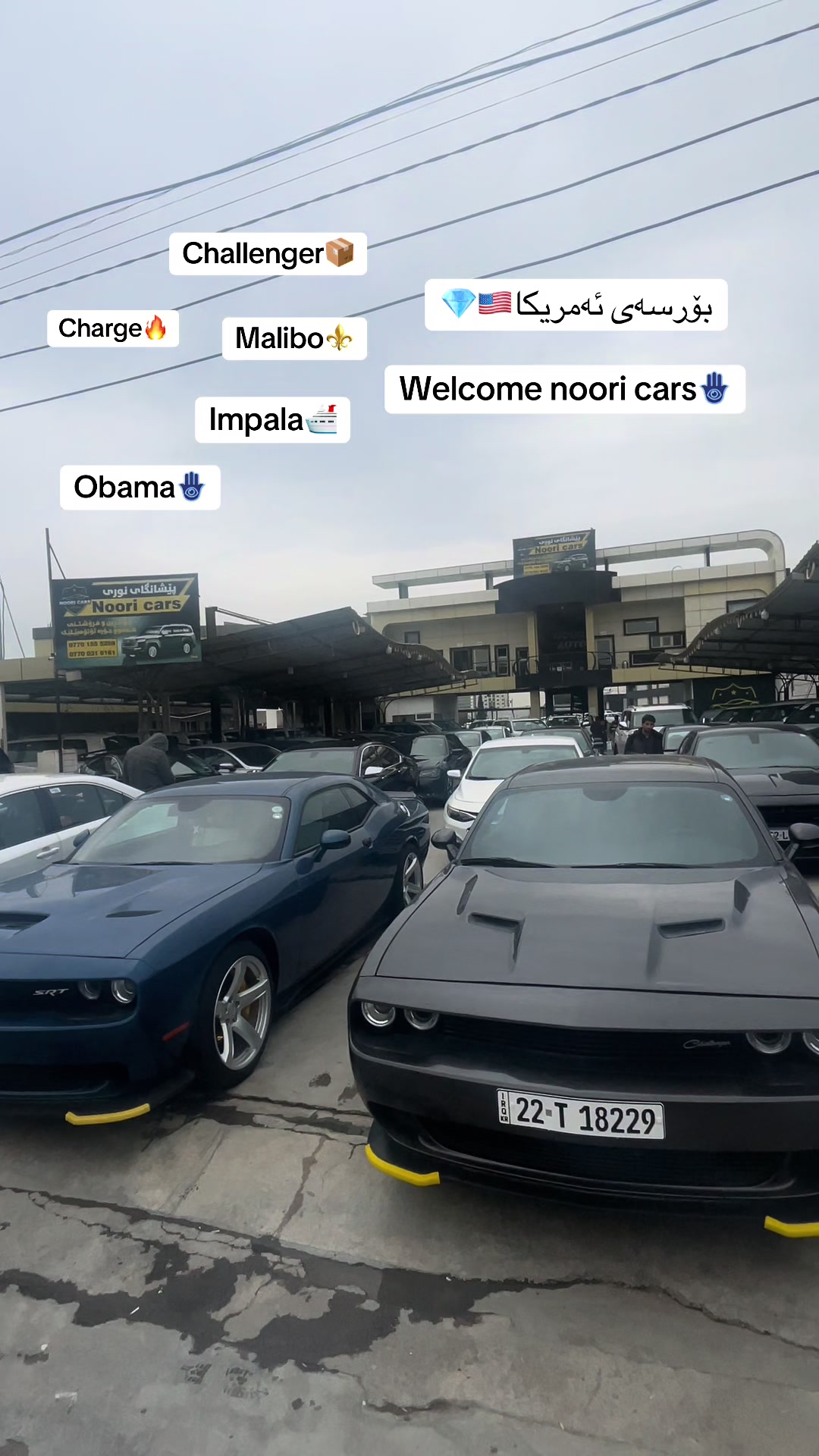 @NoOri CARS