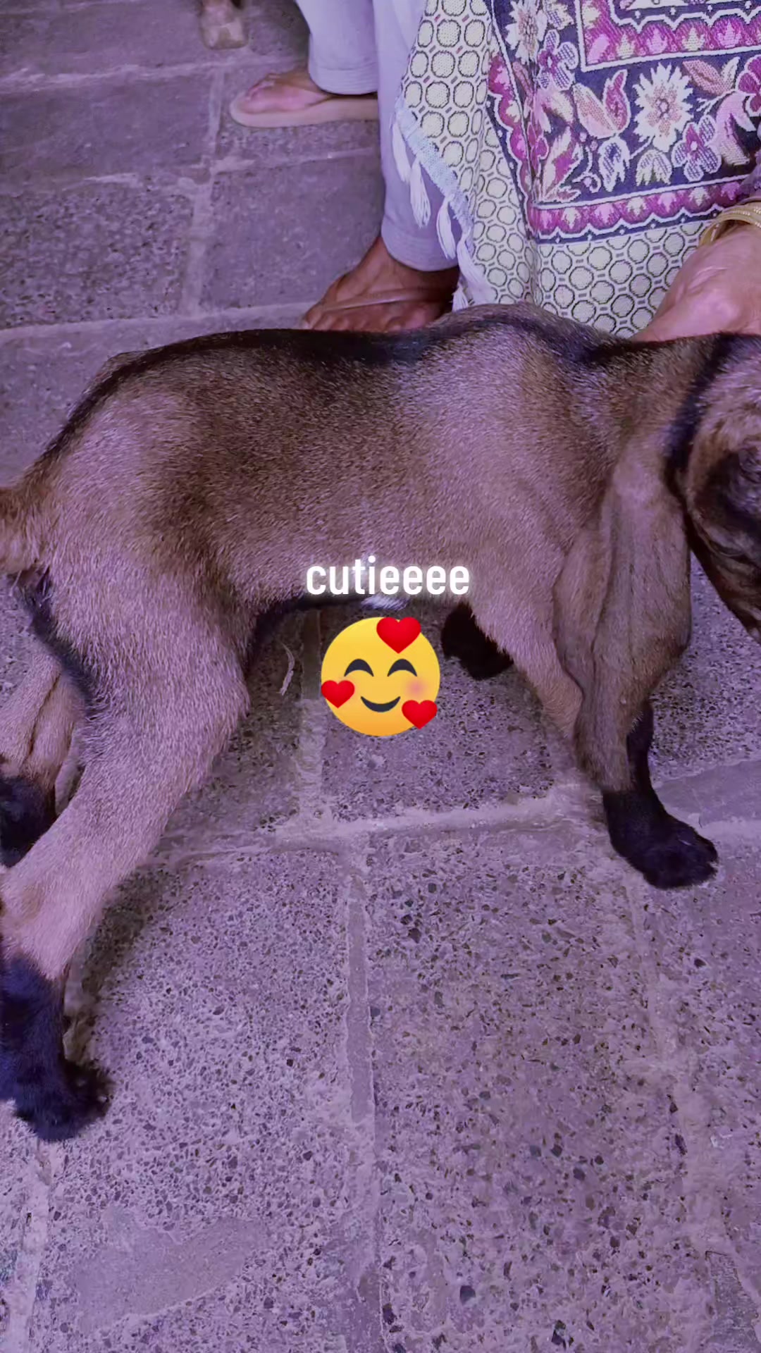 @𝗡𝗦