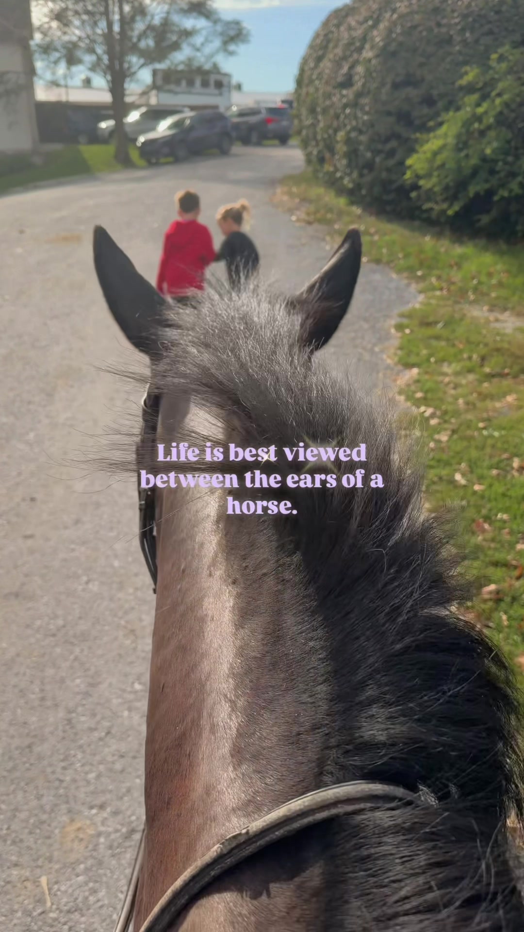 @Maria💜| Equestrian🦄