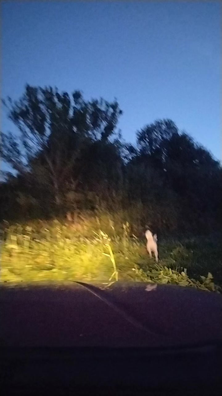 @😊 РЫБКА😊