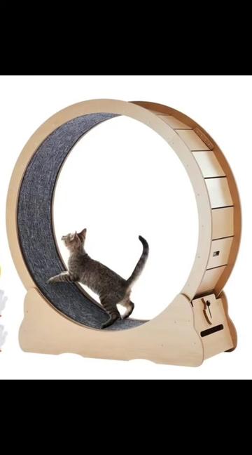 @petmartopia