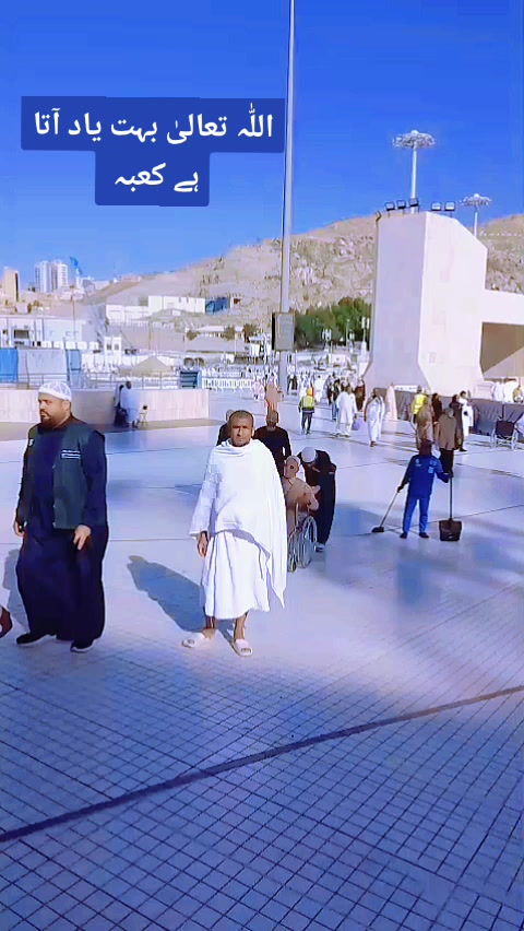 @محمد شفیق
