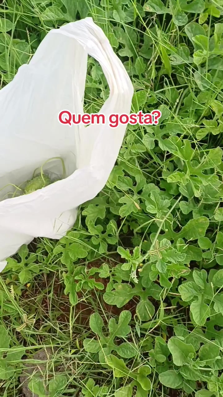 @Amante da natureza