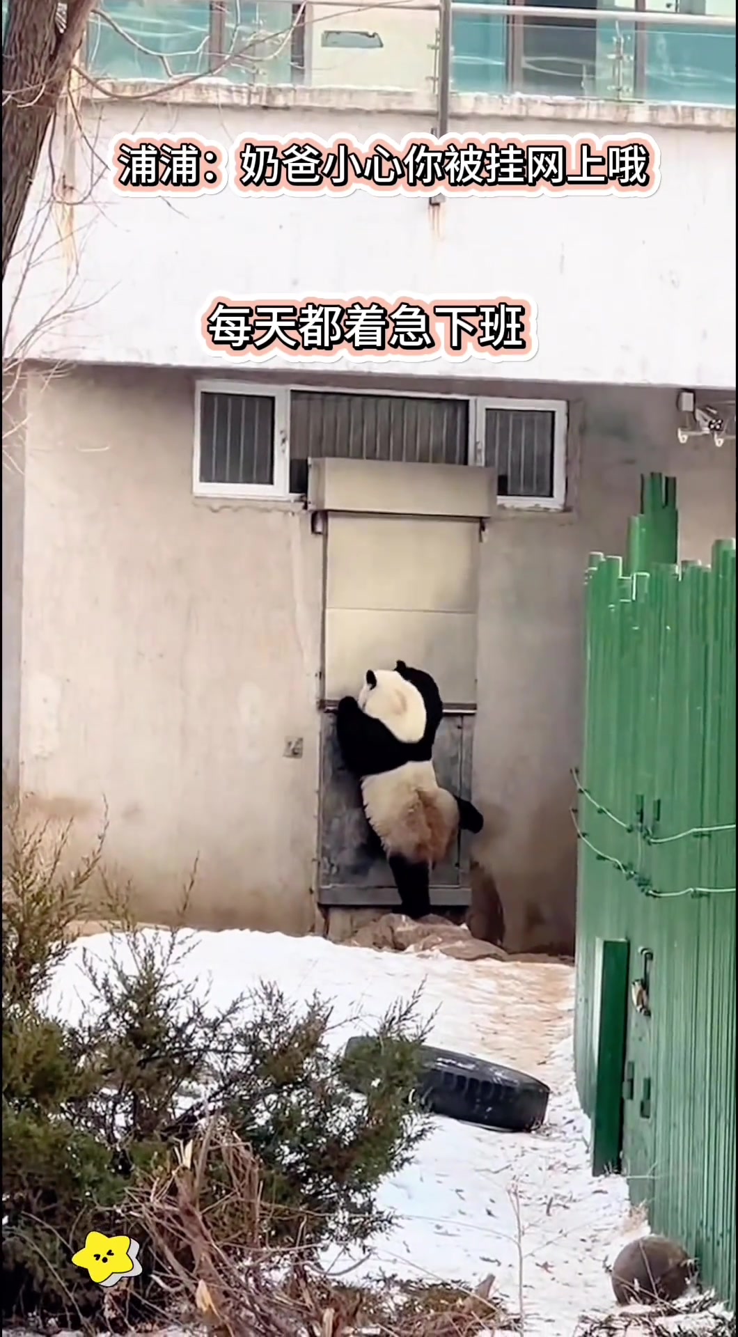 @ショウキンキ