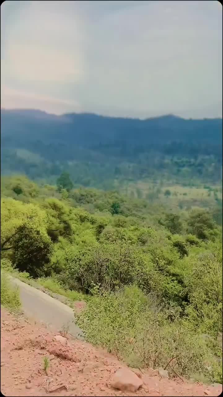 @راجہ سعد چوک پنڈوڑی الہ