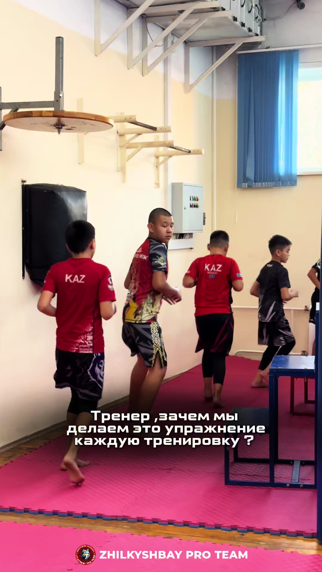 @zhilkyshbay.pro.team
