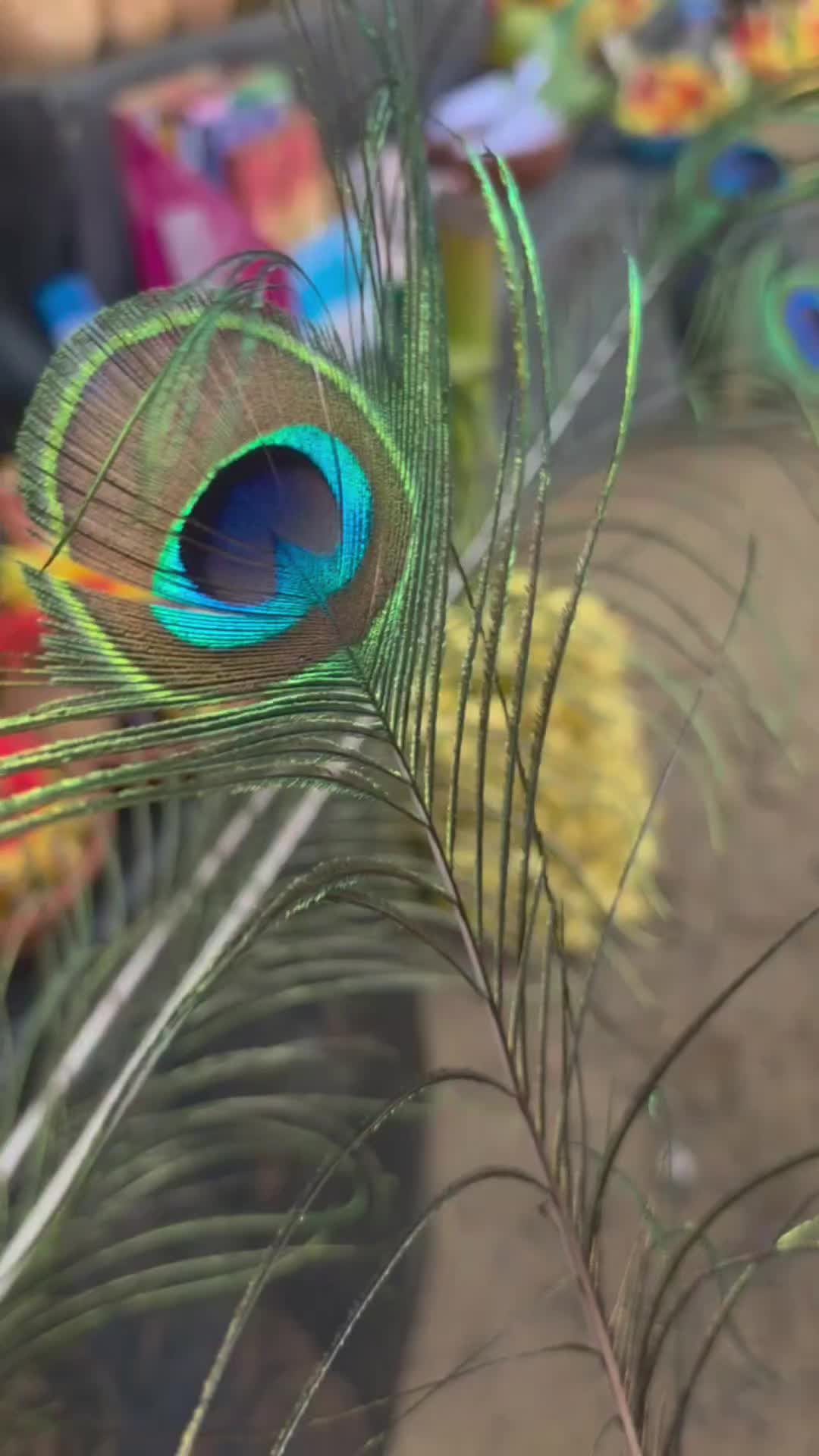 @&hearts;️🦋LAKSHI🦋&hearts;️👀🫶🧍&zwj;♂️🫶
