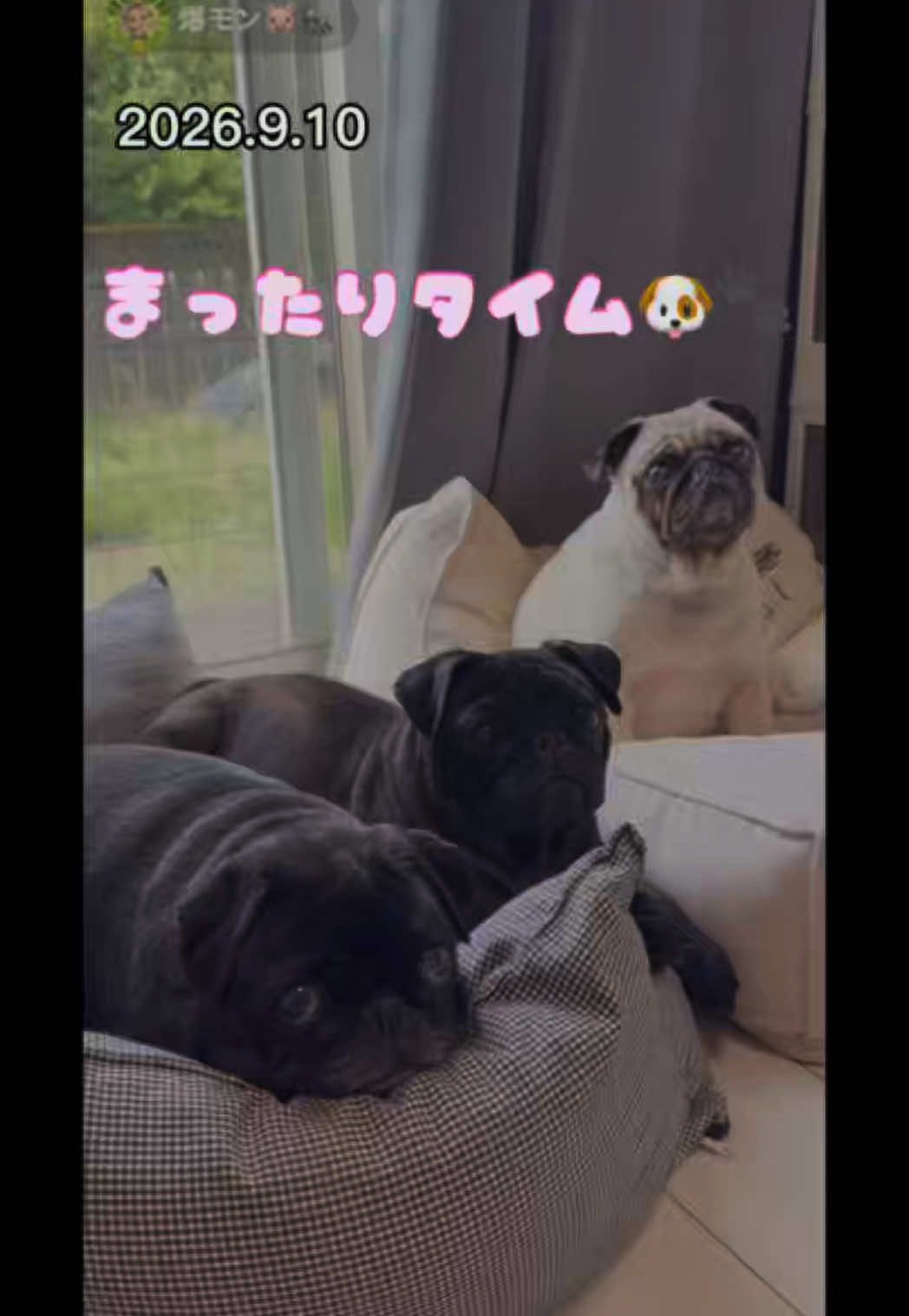 @すずか🧊🫧