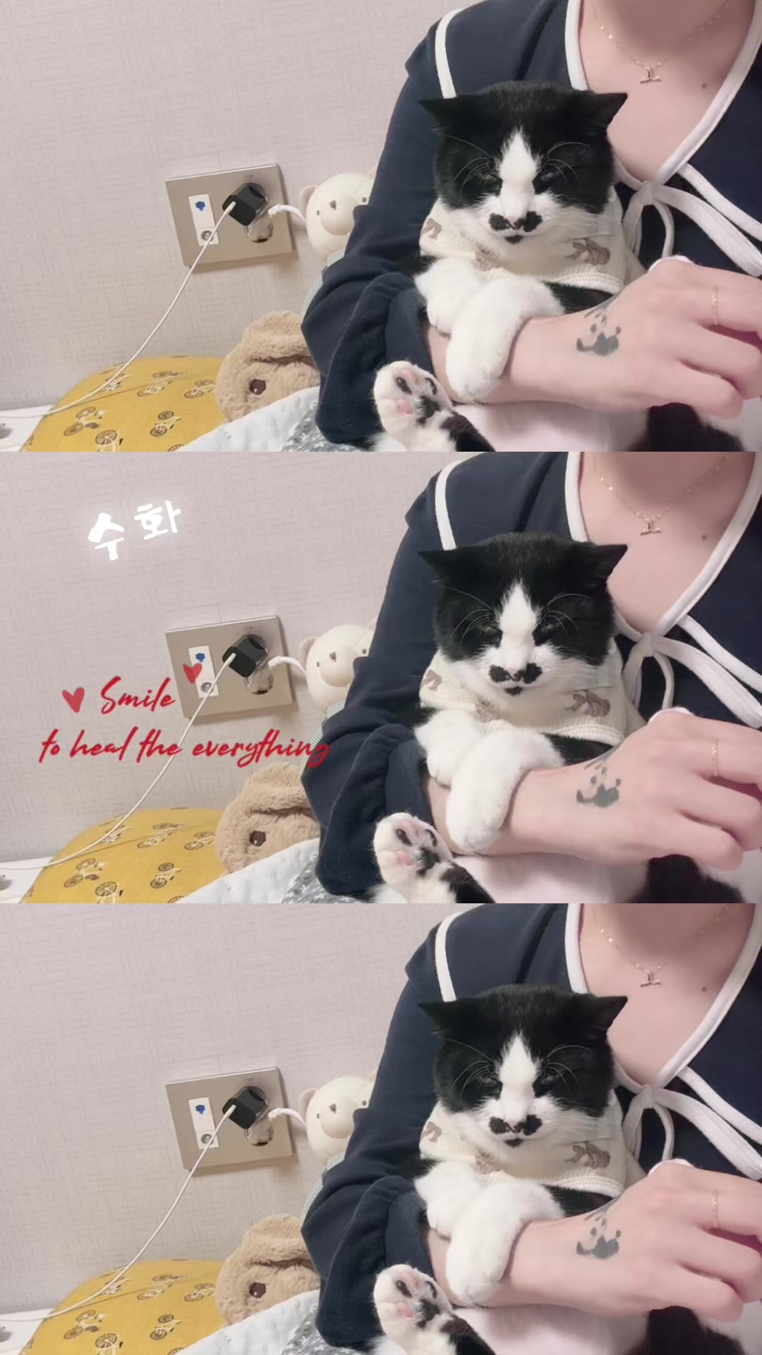 @๐ฏ๋ฏธ๋นต๐ฏ