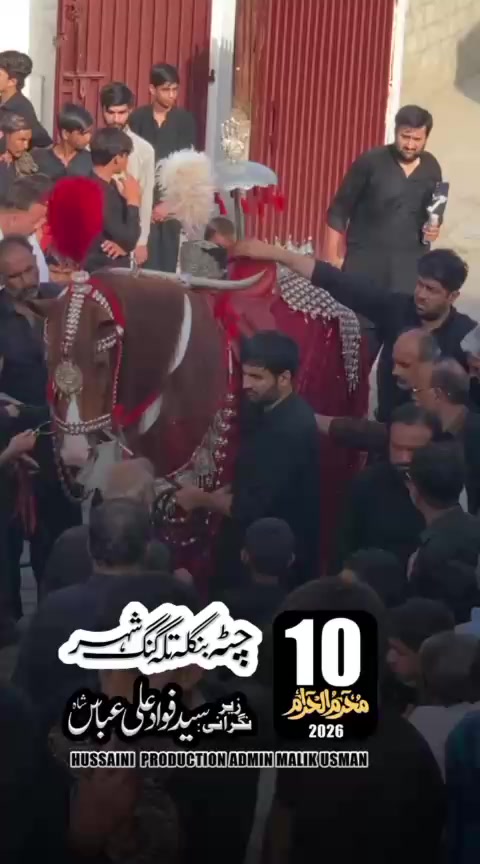 @مرکزی ذوالجناح تلہ گنگ