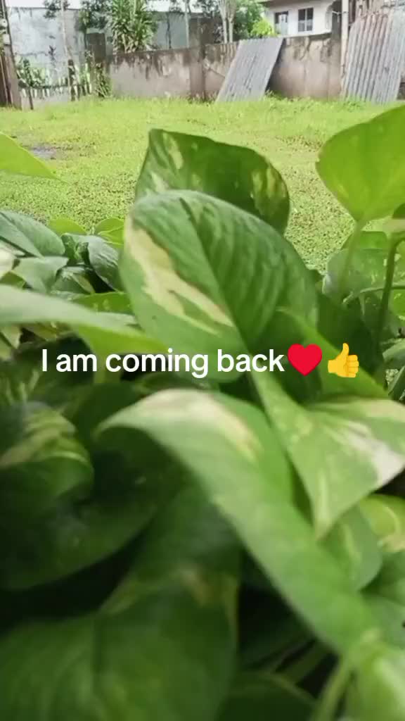 @Ranie Reyes802