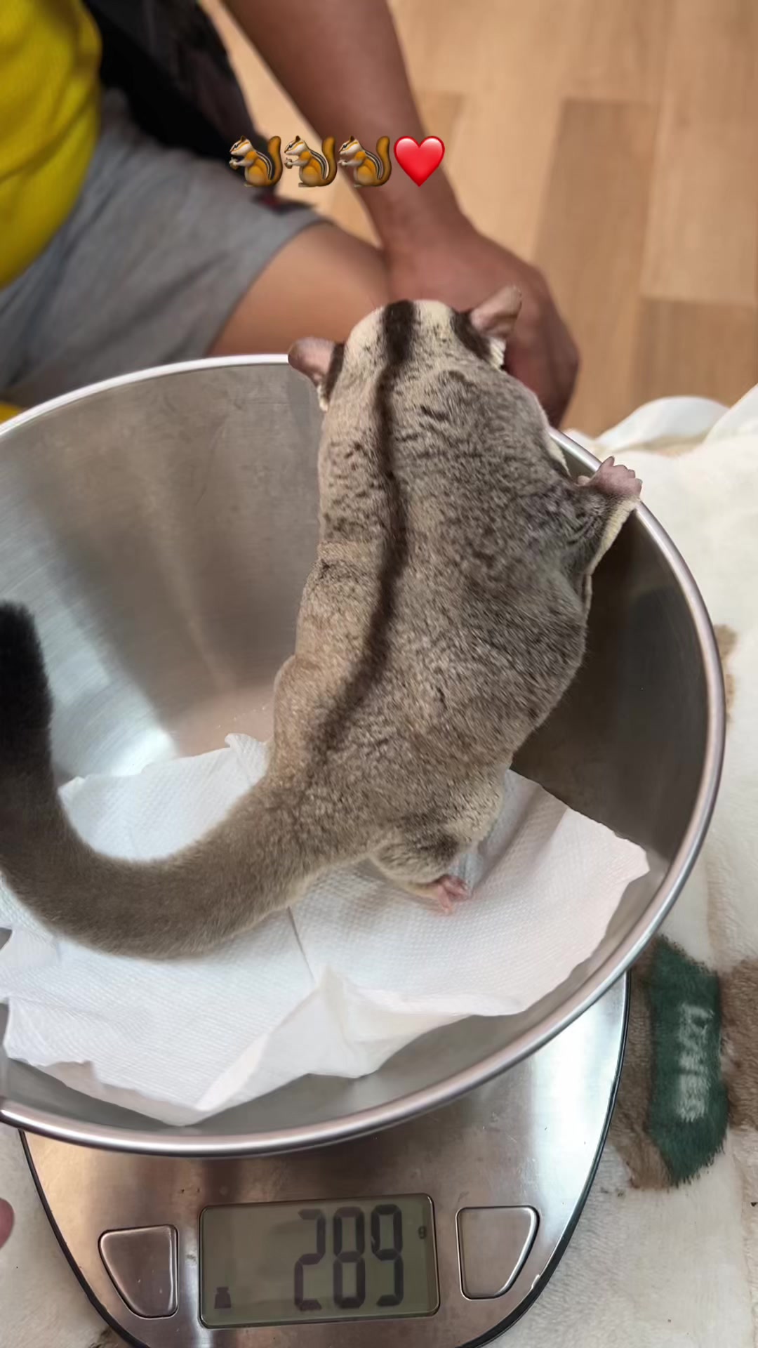 @jesugarglider.id1