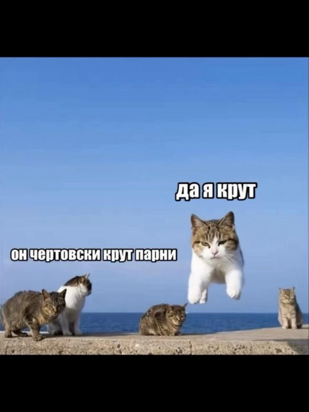 @D.G.