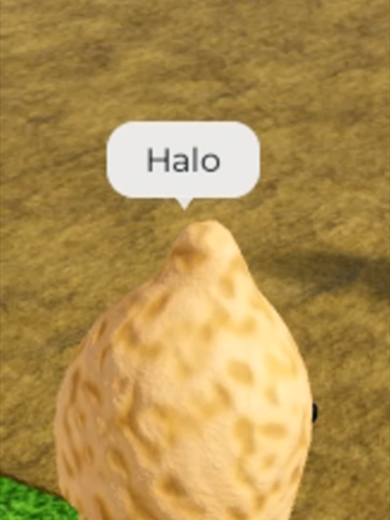 @KaiToon