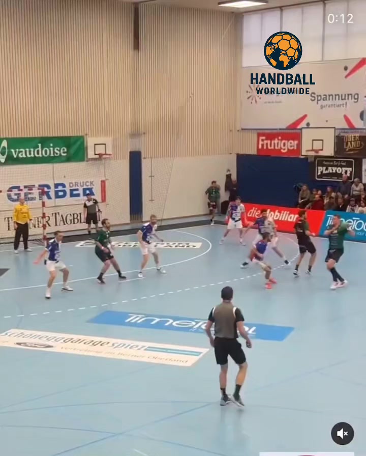 @Handball WorldWide 🤾
