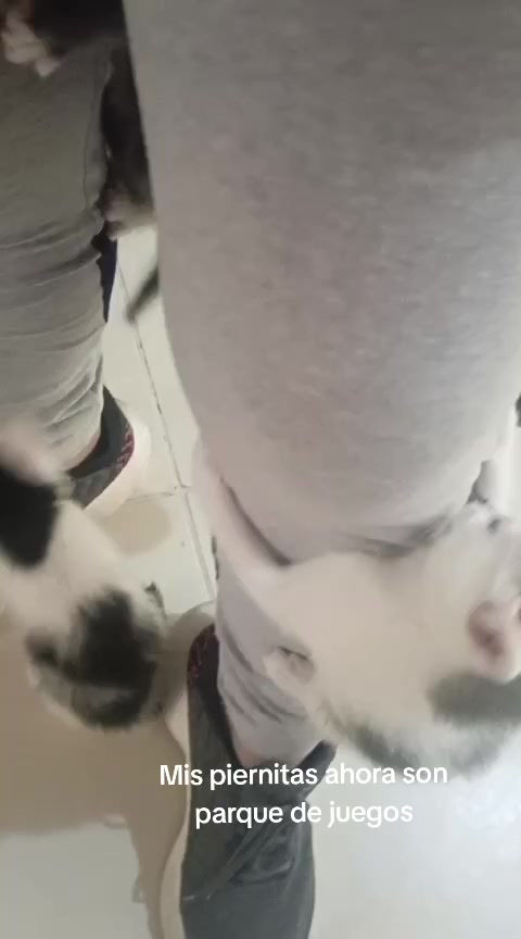 @Merceditas