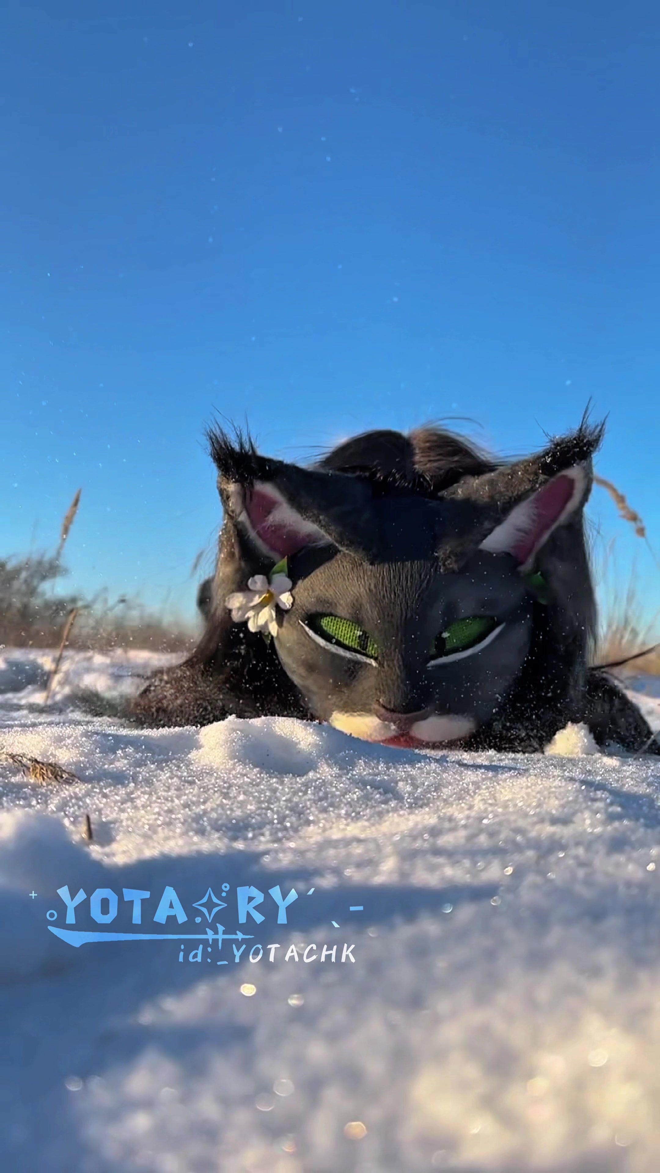 @‧.–'⟡yota.ry₊ ݁.