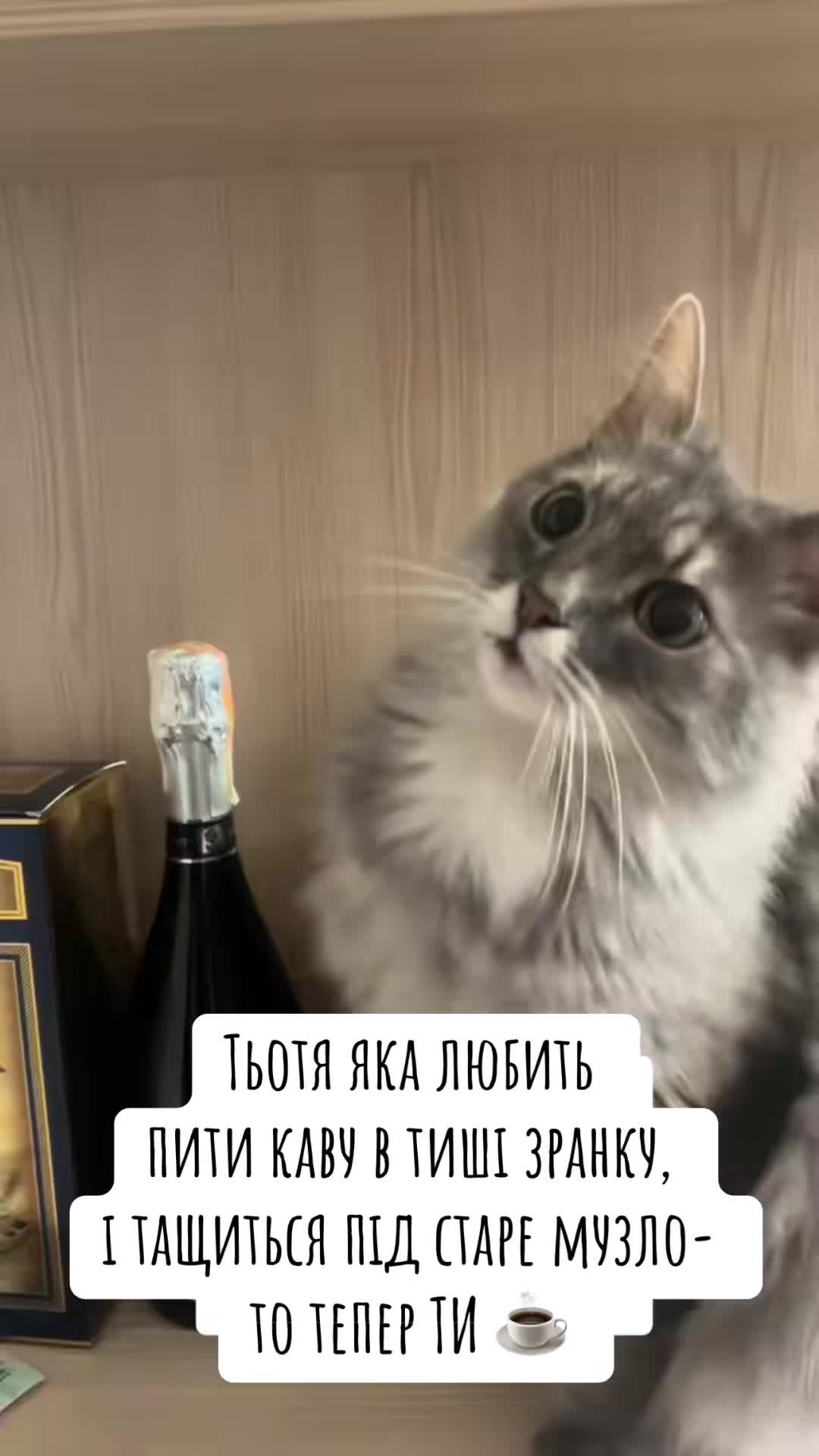 @timka.kit