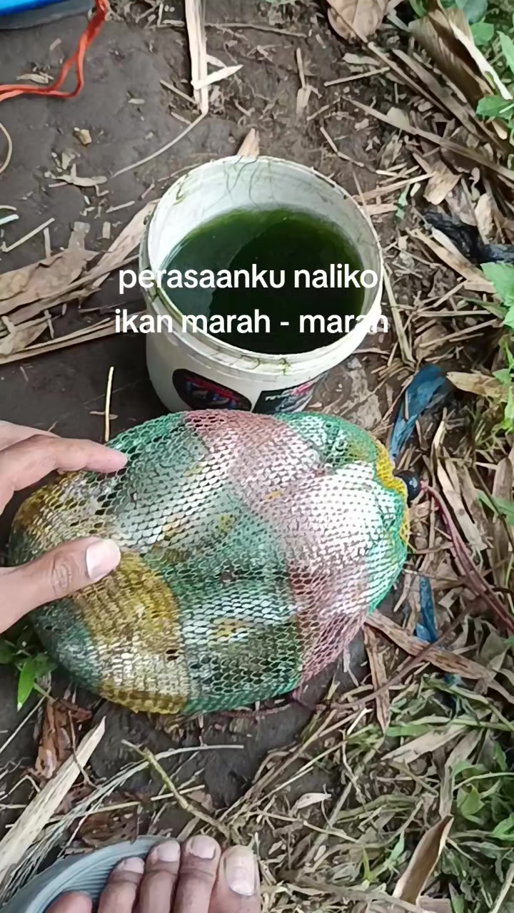 @orupnaselfishing