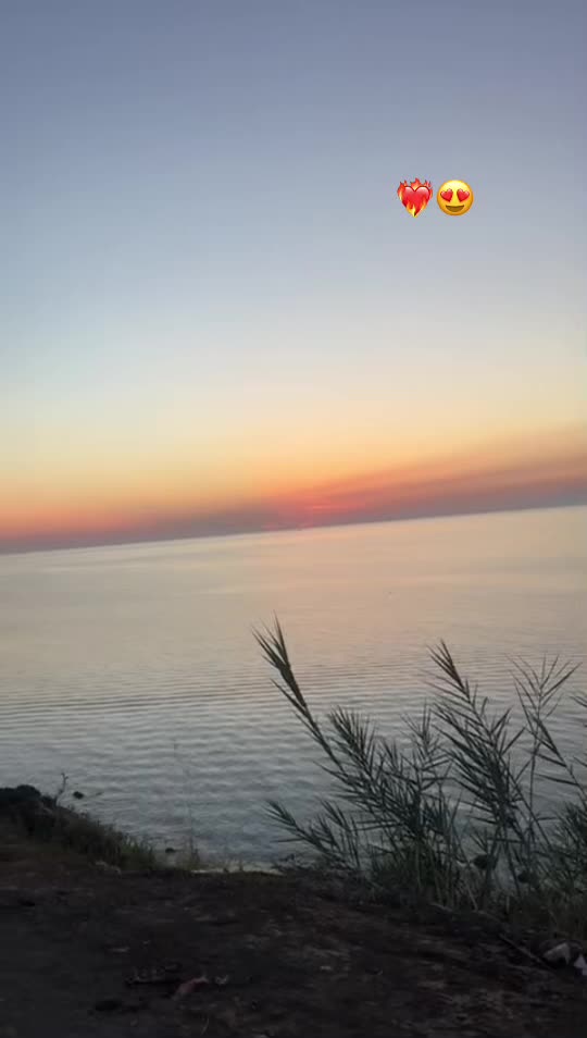 @riadkhider09